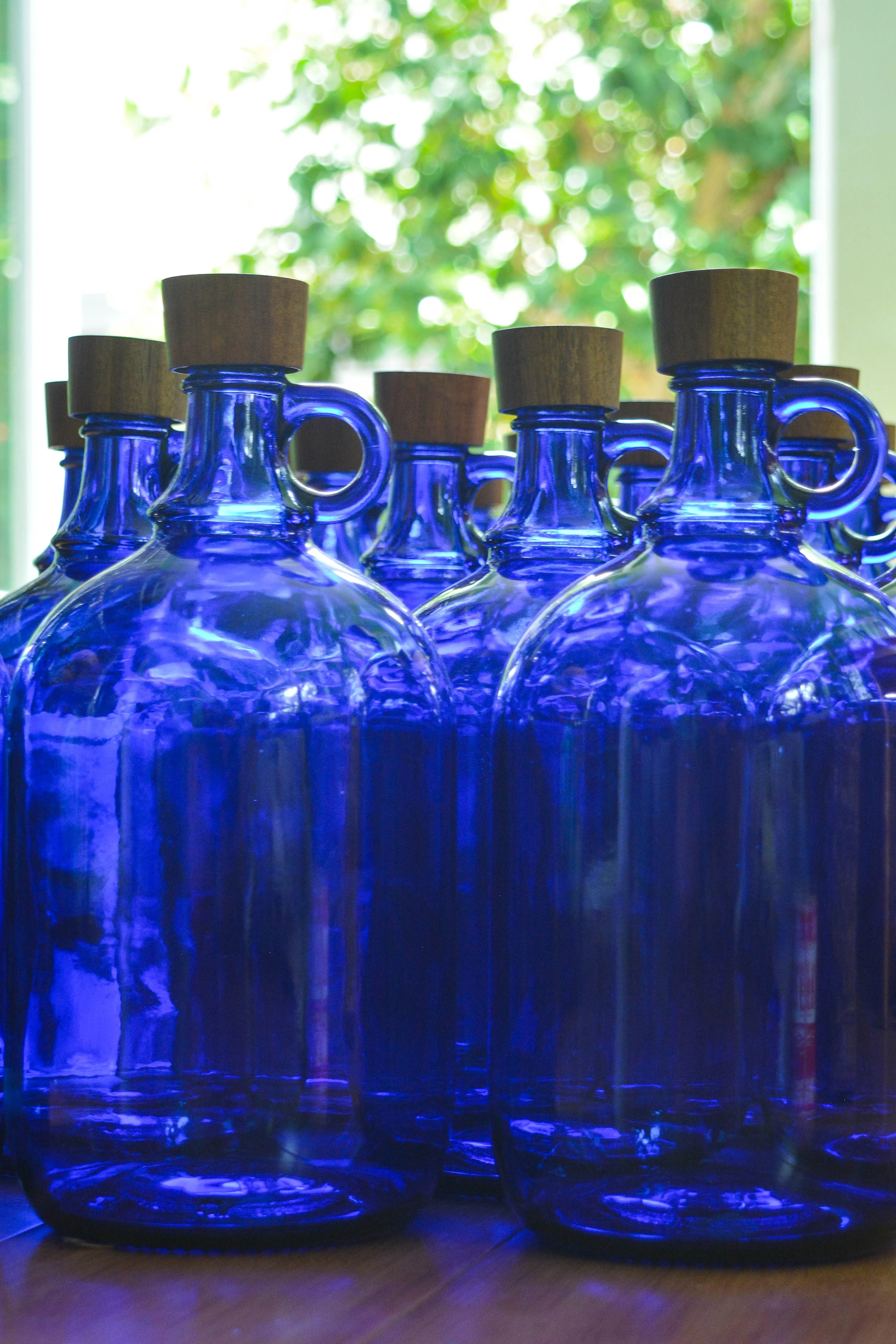 2Liter Plain Bottle - Image 9