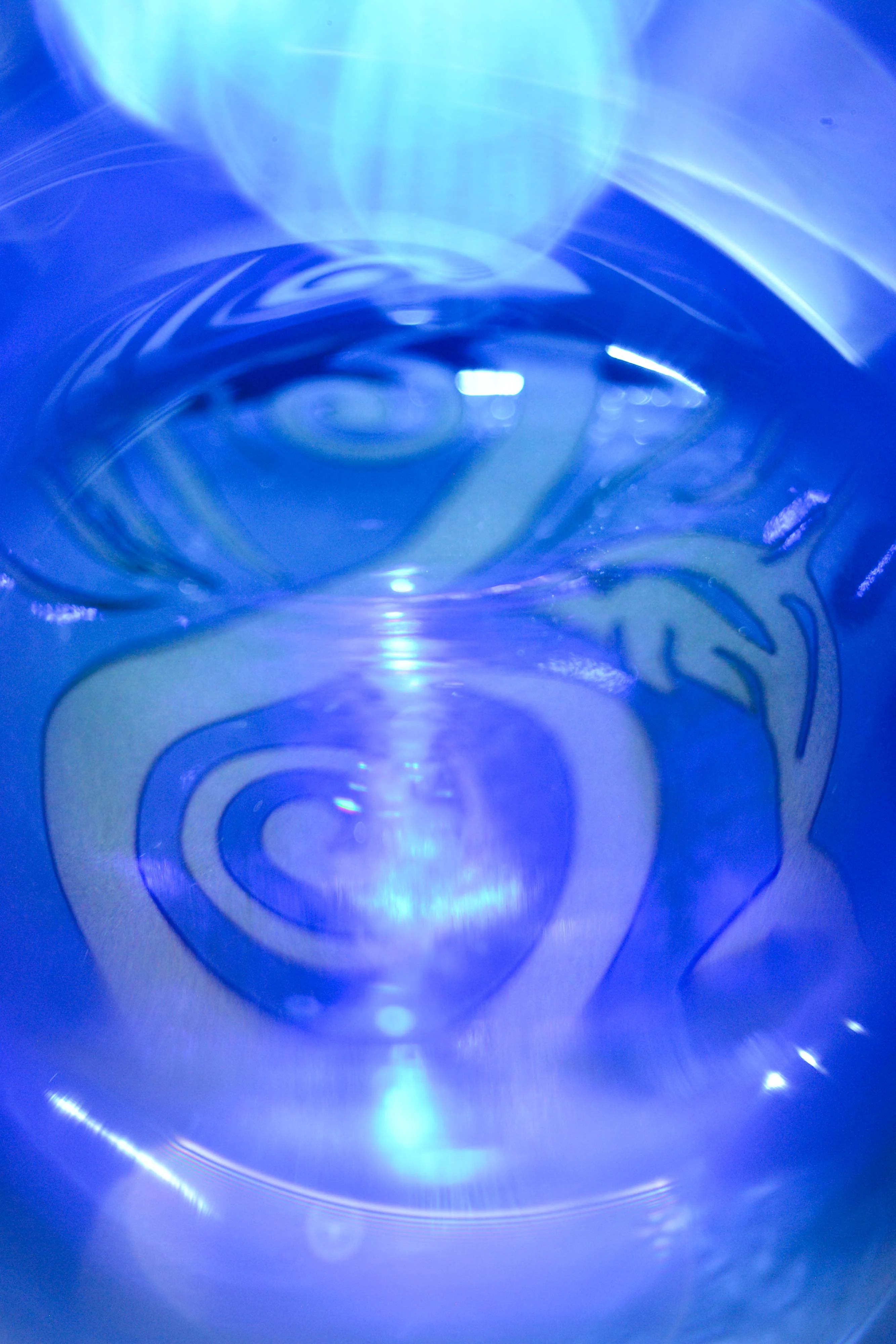 Dolphinitive Swirl - Image 6