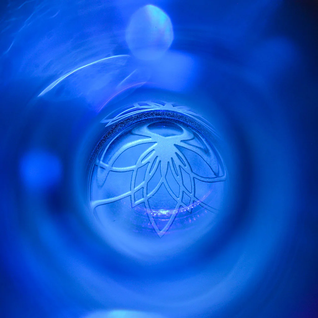 Lotus by Danette May - Image 5