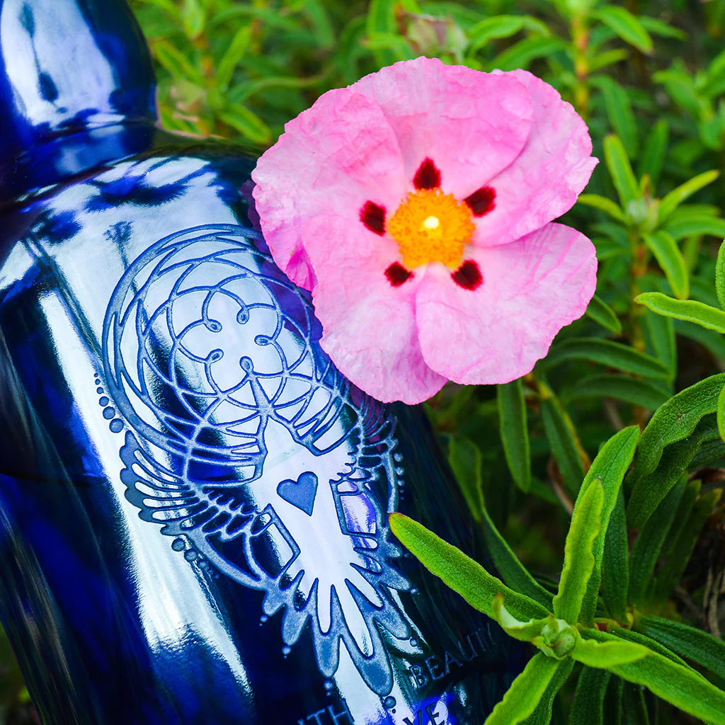 Nectars of Life by Mary Isis - Image 5