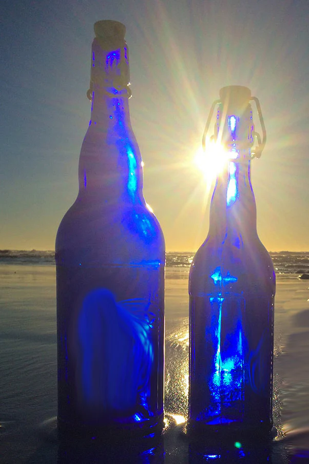 Plain Bottles - Image 2